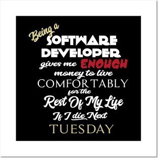 Being a software developer Posters and Art